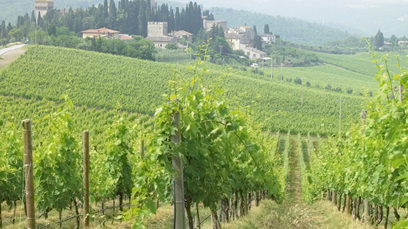 Tuscan Wine Tasting